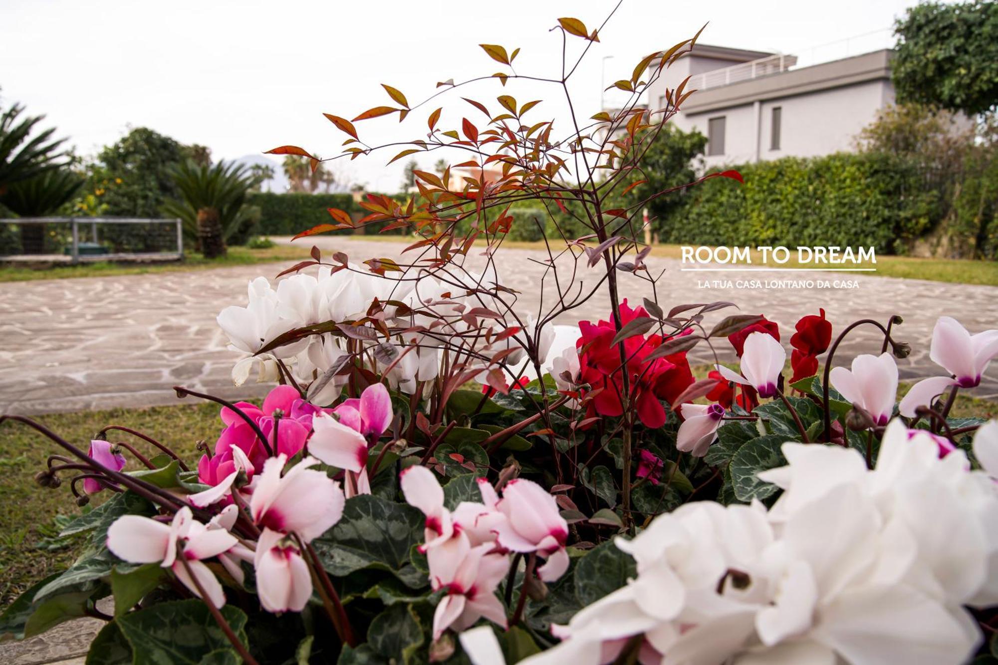 Room To Dream San Valentino Torio Exterior photo